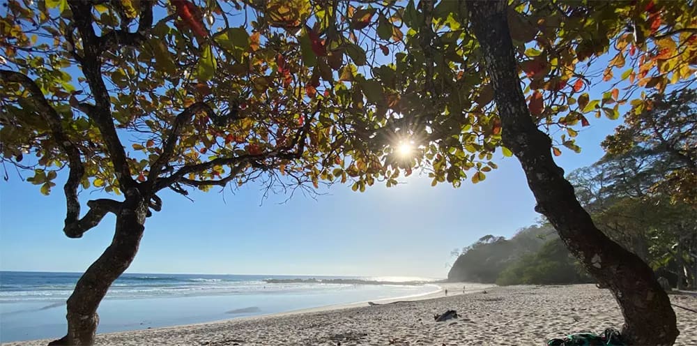barrigona beach costa rica
