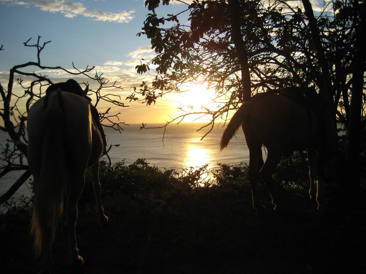 sunset horseback riding samara Beach