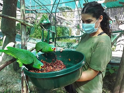 volunteering conservation costa rica